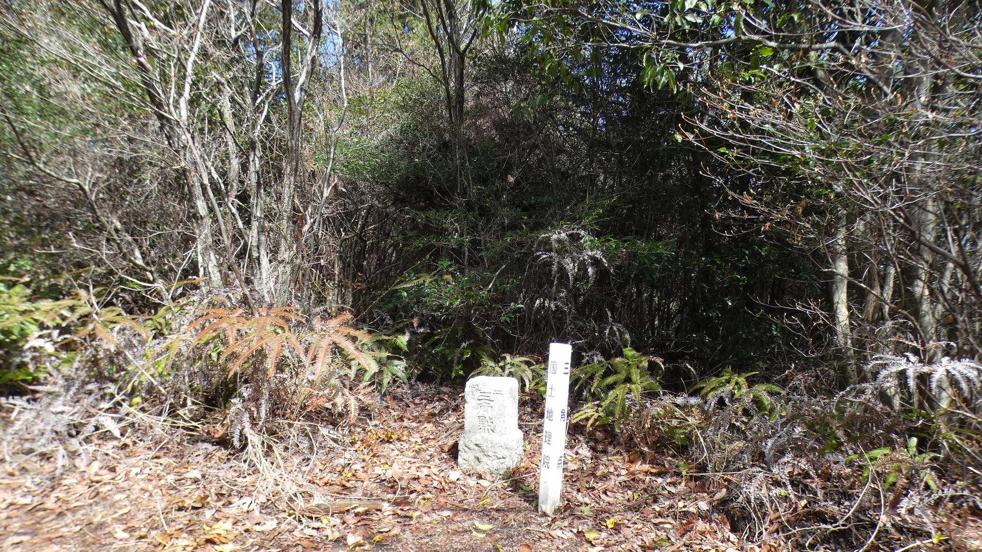 （中略）
鳴滝山山頂
三等三角点
基準点名：鳴滝山（なるたきやま）