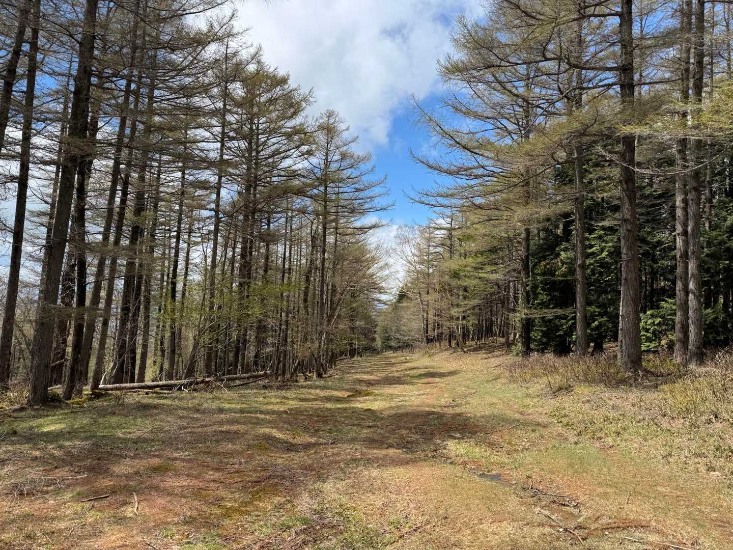 藤原登山口-鶏頂山-釈迦ヶ岳 往復コースの写真