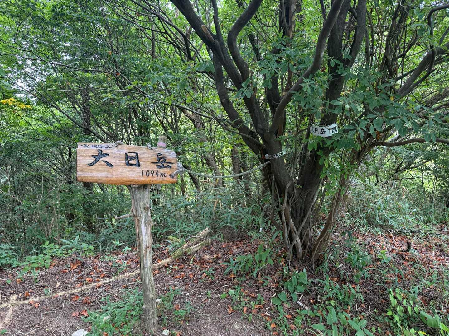 大日岳