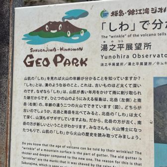 これは知らなかったね