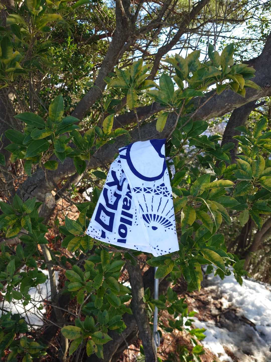 手ぬぐいの忘れ物ありました！
ハゲ山の頂上付近の分岐です
スワローズファンの方ですね