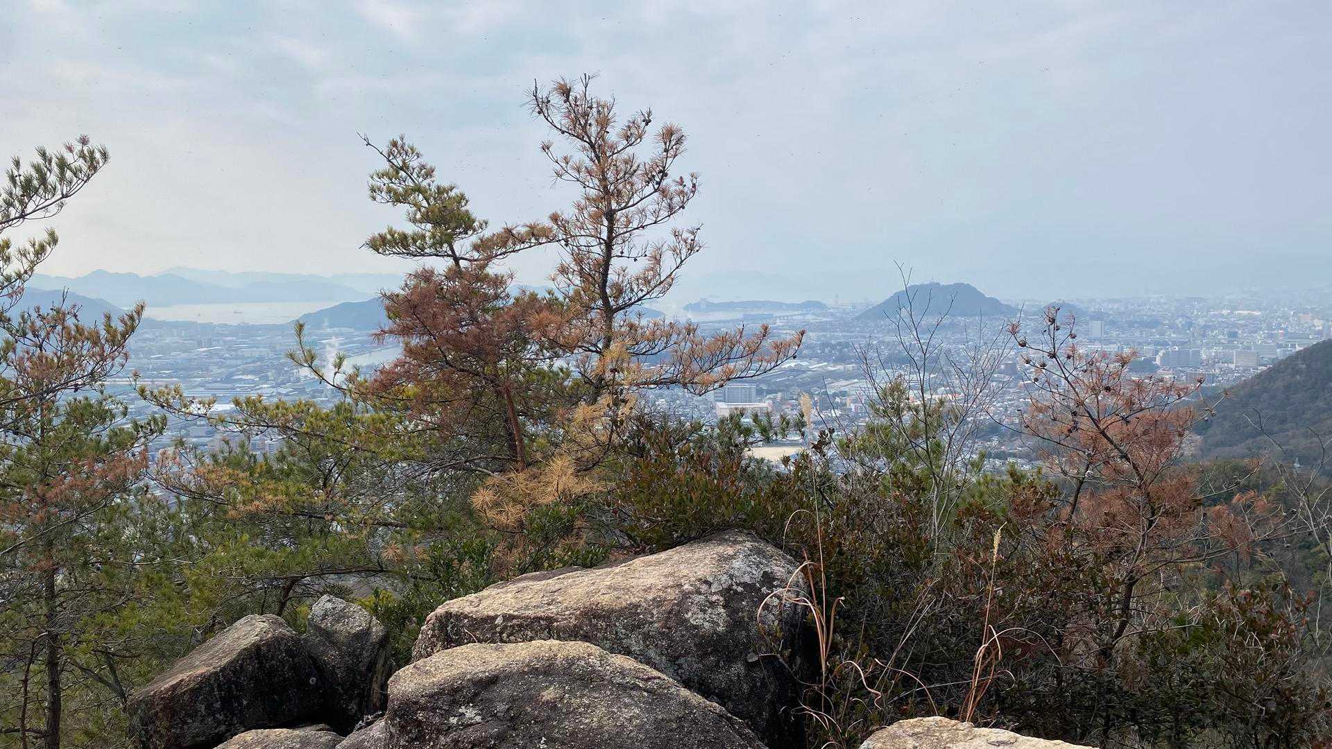 日浦山 往復コースの写真