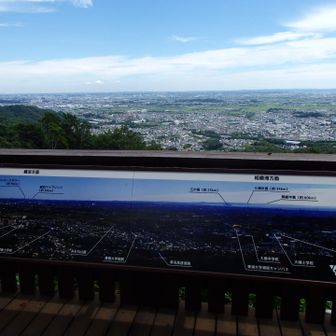 弘法山の見晴らしデッキからの眺め