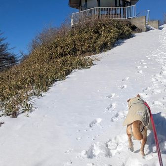 ラストスパートが素晴らしいミルさん