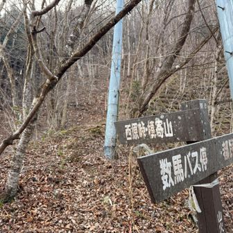 登山道終了。この降りる直前が一番難所だった。