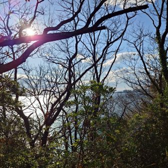 海が近くなってきた