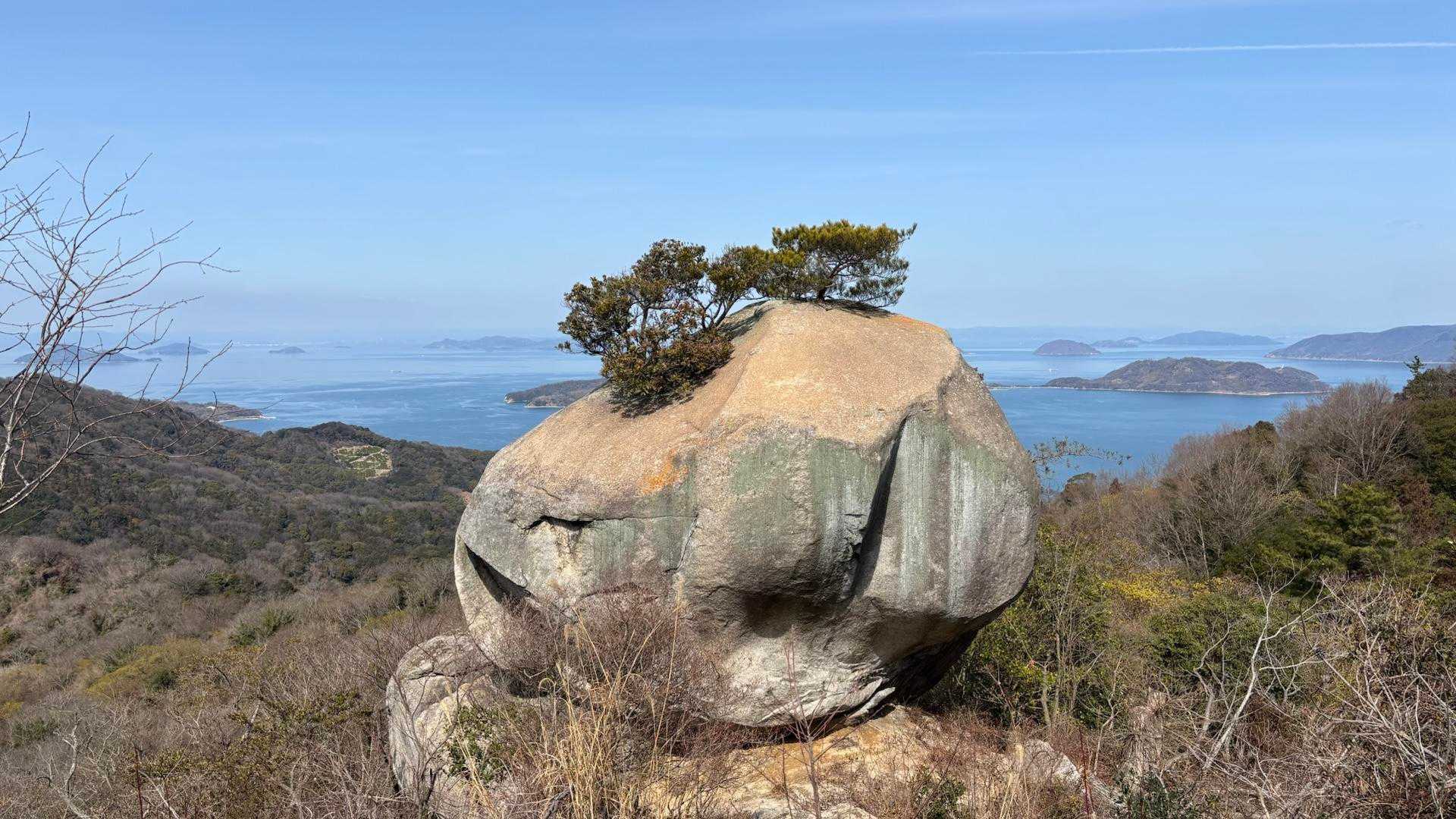 千貫松…一度枯れたらしいけど