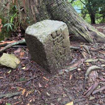 横高山ピークの道標🤔 比叡山の文字は見えますが、欠けてます