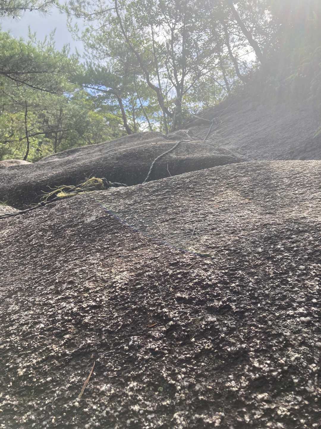 天狗岩 往復コースの写真