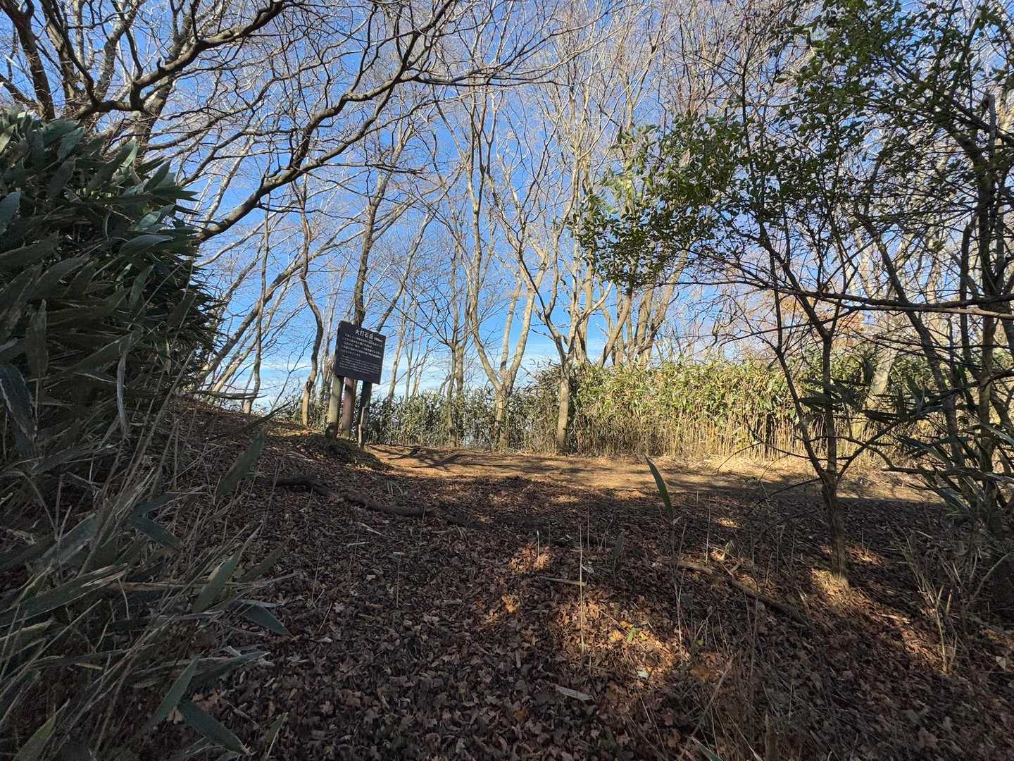 なんとか赤線ルートに合流〜
出てきたところに立っていたのが…