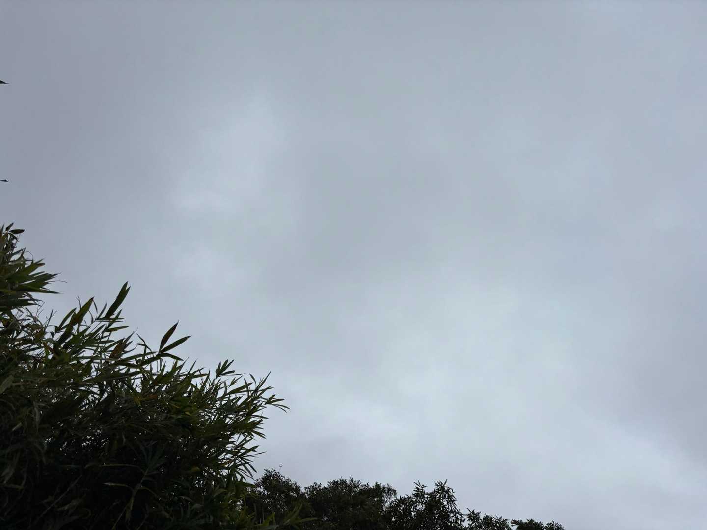 空がやばい
幸い濡れるほどではないけれど…
まだ次があるのでダッシュ