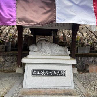 かも道からピストン