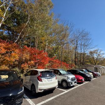 駐車場まで紅葉してます