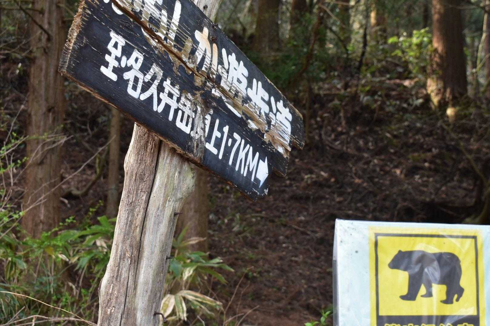 今日もいい運動になりました(^^)