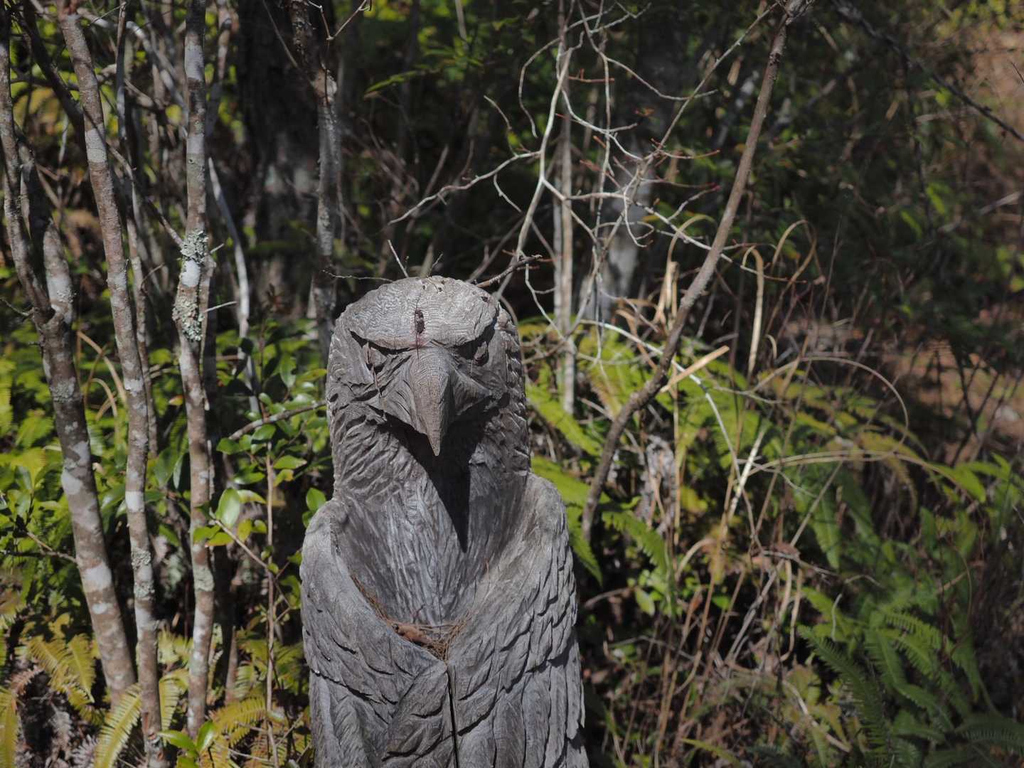 石鎚神社-清宝山-苔庭 往復コースの写真