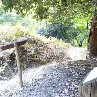 No.67
←石鳥居　　　↑比叡山