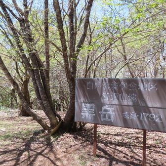 なんとか黒岳に辿り着きました🫩
黒岳は3回目の登頂です。