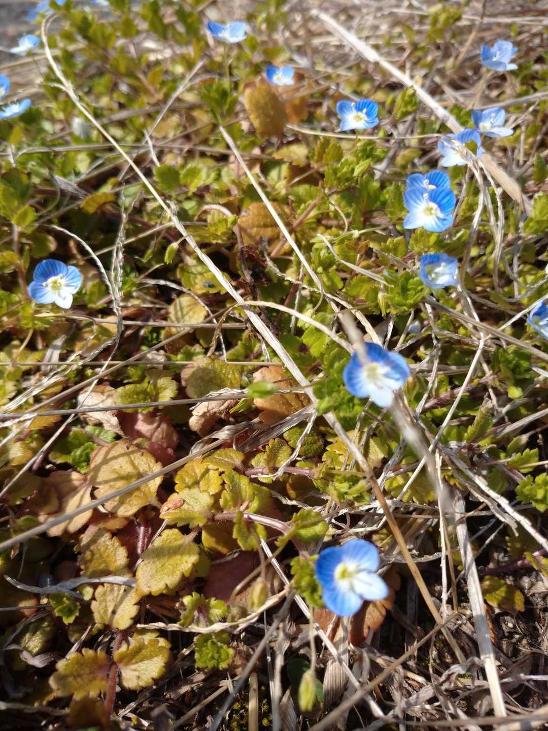 微笑ましいですね☆彡