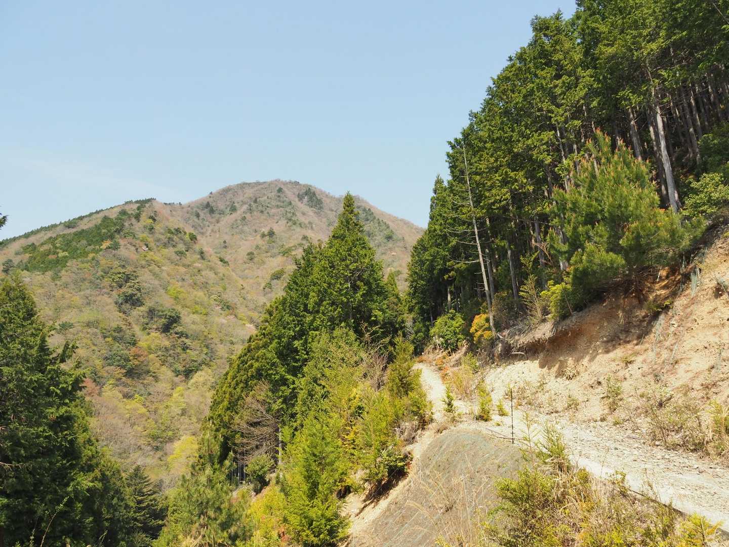 赤桶登山口-若宮峠-栗ノ木岳 往復コースの写真