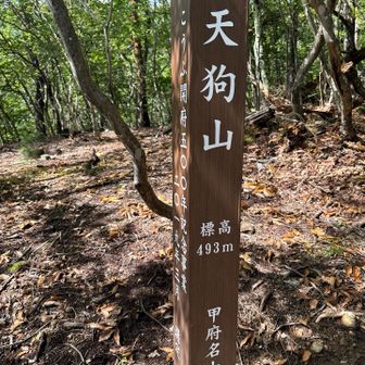 山梨はやっぱり山にお金かけてる💰
山頂標識が立派！