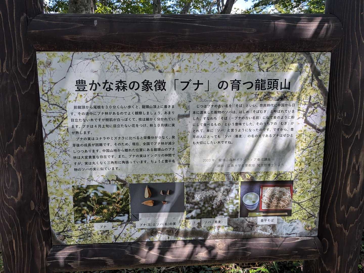 龍頭山 往復コースの写真