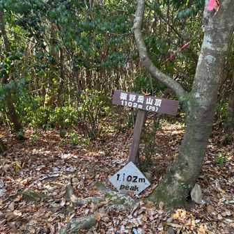 ちょっと寂しい山頂😔