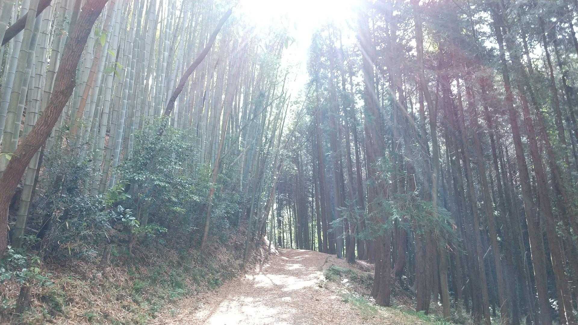 なかなかステキ🤳😁