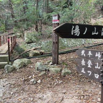 御在所岳中道駐車場🅿️、ちょうど帰る人がいて停めることができてよかった🥰
一ノ谷新道の山の店のきれいなトイレ🚽をお借りして….長石尾根ルートの登山口に🎶

最初の渡渉でいきなり、右足をドボン💦
ギリギリ濡れなくてよかった😅

ちょっとルーファイしながら…よじ登ったりして….