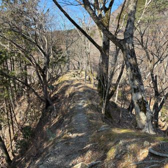 痩せ尾根ですね
誰もこっち(寄バス停)方面来ませんねぇ…