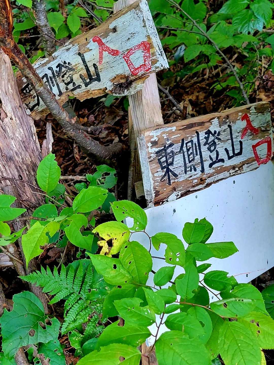 東側から反時計回りで一周して西側に出ます