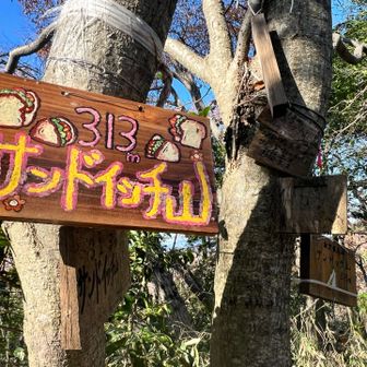313だからサンドイッチね
因みに新サンドイッチ山は282m
