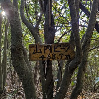 山内ピーク　468.7m
