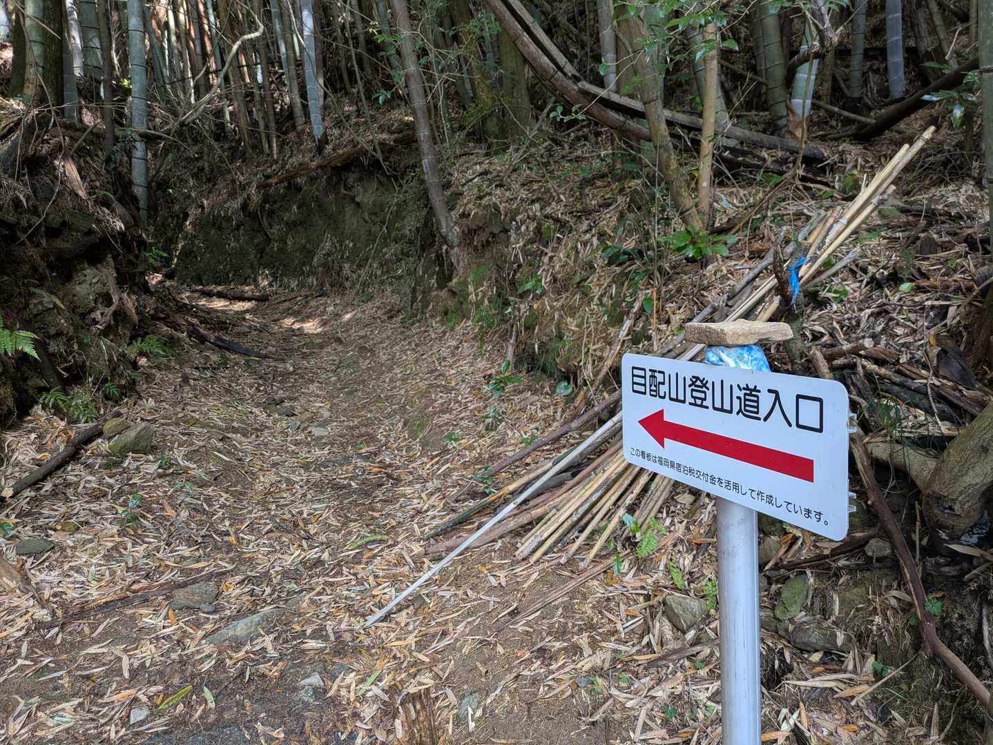 舗装路を500㍍歩いて登山道入口　ちょっと薄暗い