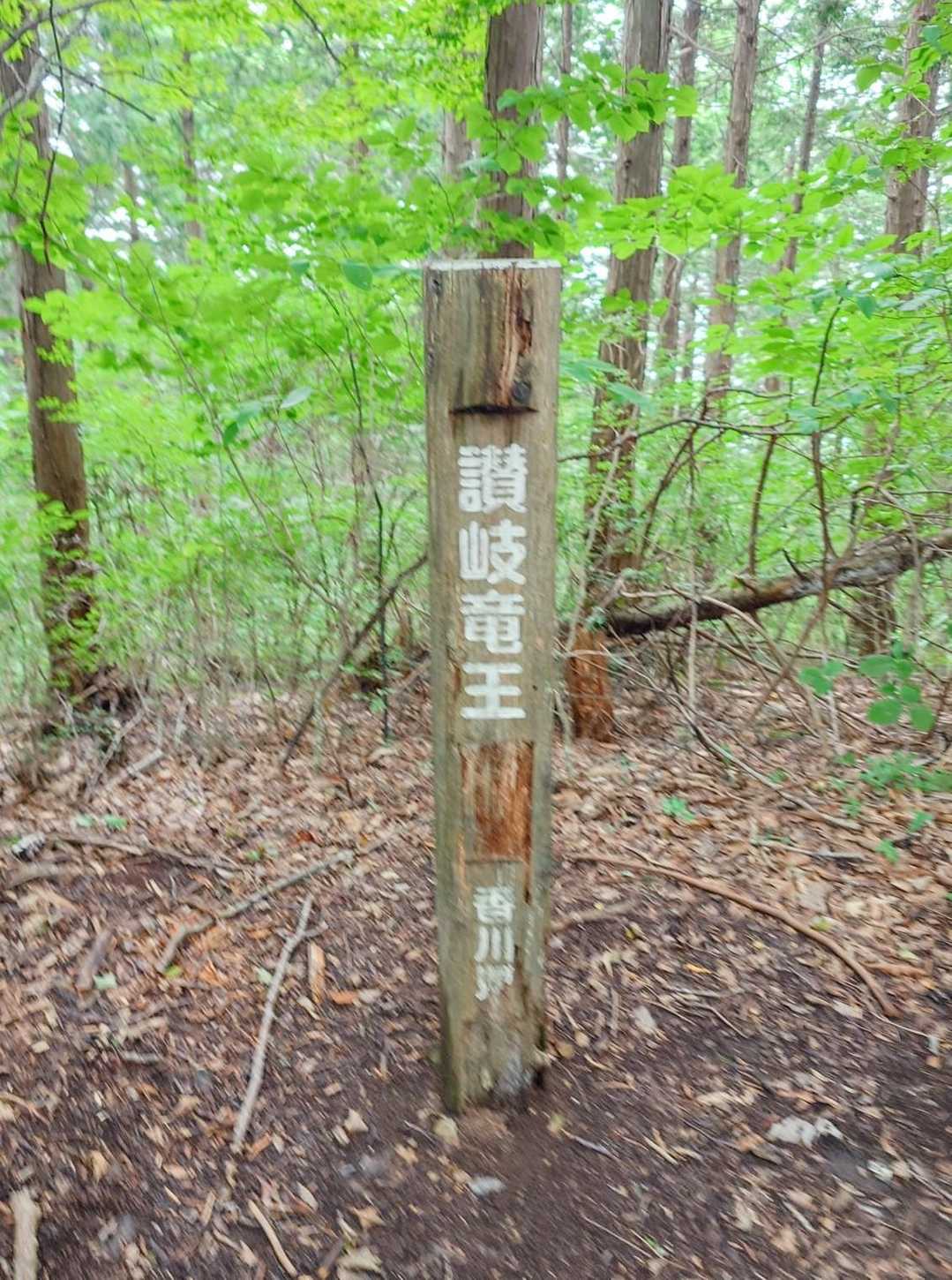 目的地、讃岐龍王山に到着。
すぐ近くの林道に降りるルートもありましたが、最短路は来た道なのでピストンで戻りました。
