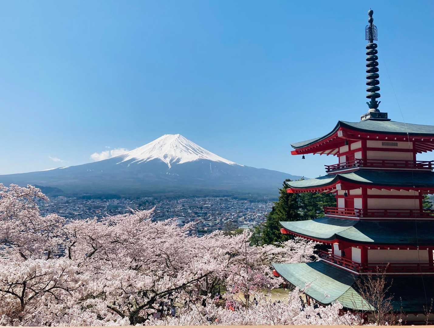 新倉山の写真