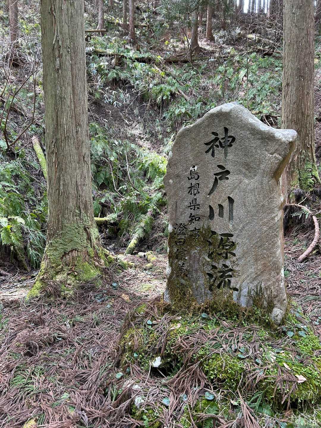 女亀山 往復コースの写真