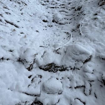 雪で滑る滑る、まさか登り道で転ぶとは

両膝の皿打って痛い痛い！