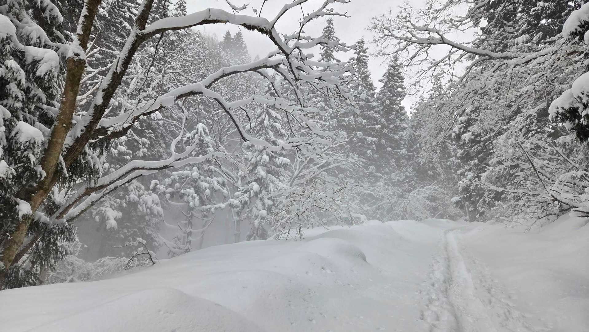 吹雪いてます🥶
スノーシューとワカンのトレースはあるもののツボ足だとやっぱり埋まる😅
トレース外すとサクッと腿まで埋まる始末😇
