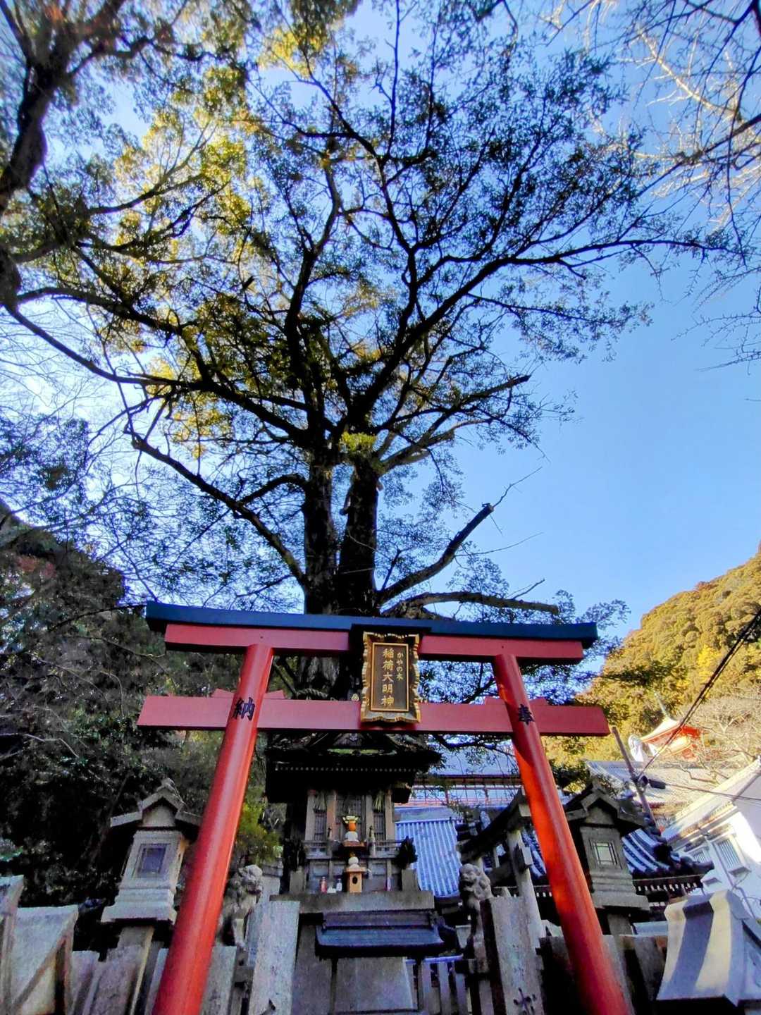 信貴山下駅-信貴山 往復コースの写真