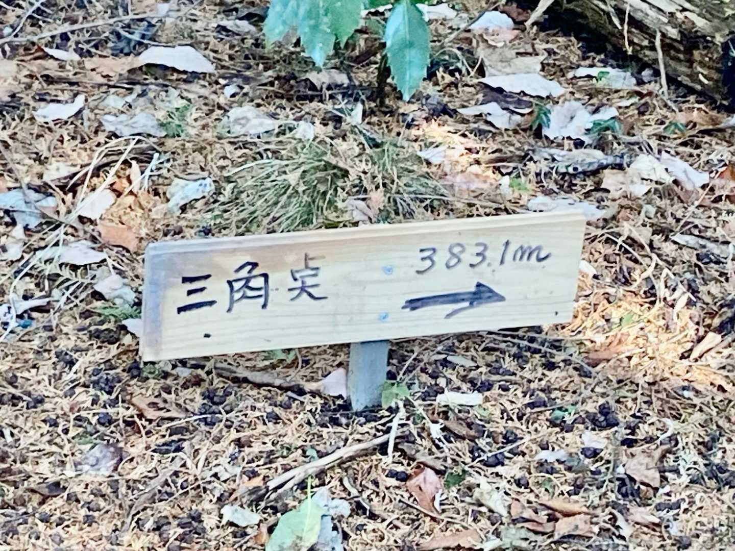 おっ、三角点（383m）に到着です🚩