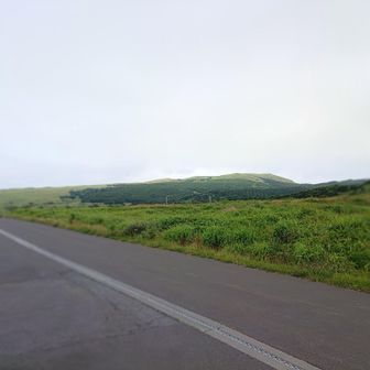さて礼文島トレッキングコースで1番人気のある桃岩展望台コースから北上していきます