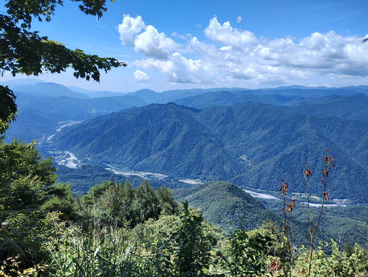 良き良き