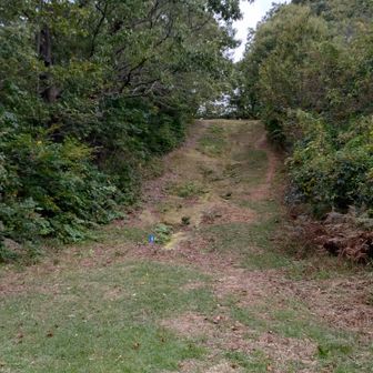 みなさんもコメントしてる、苔の滑る道。下りで尻もちついちゃいました😢