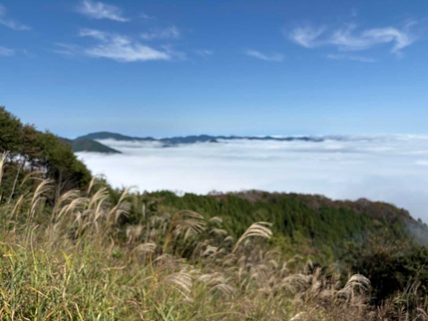 龍泉寺登山口-白谷沢登山口-権次入峠-棒ノ嶺-槇ノ尾山-長 周回コースの写真