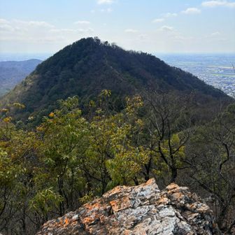ピーク⑦つつじ山