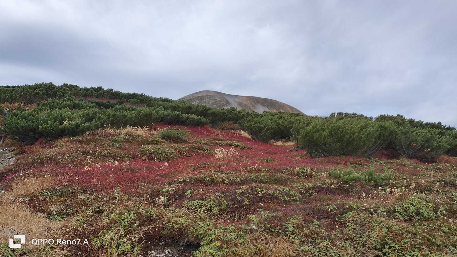 紅葉、山頂はもう終