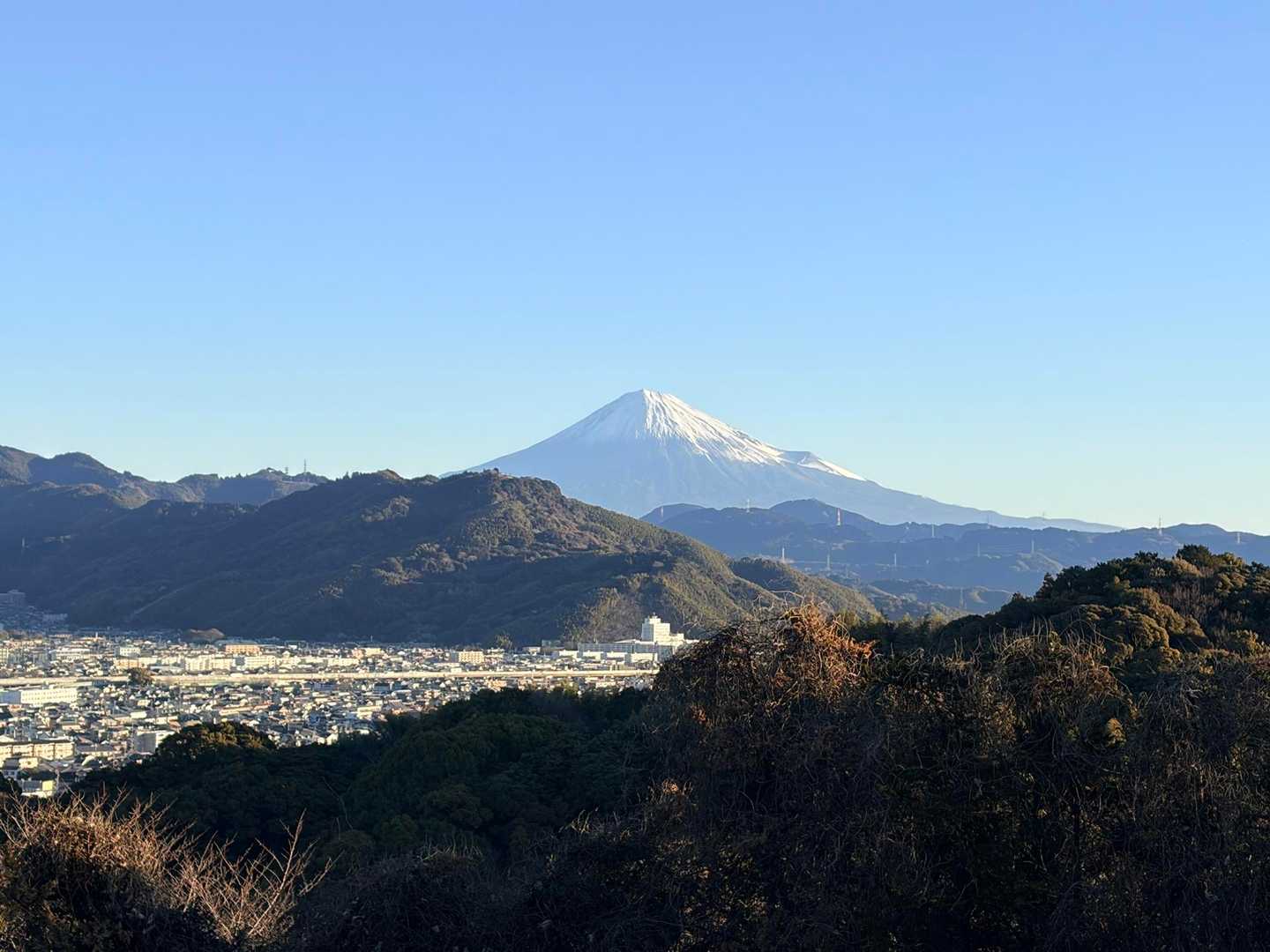 キター❣️容姿端麗です🗻