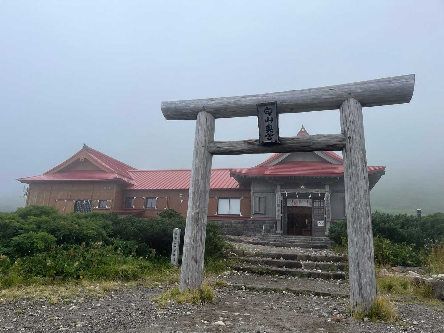 この裏から山頂へ
