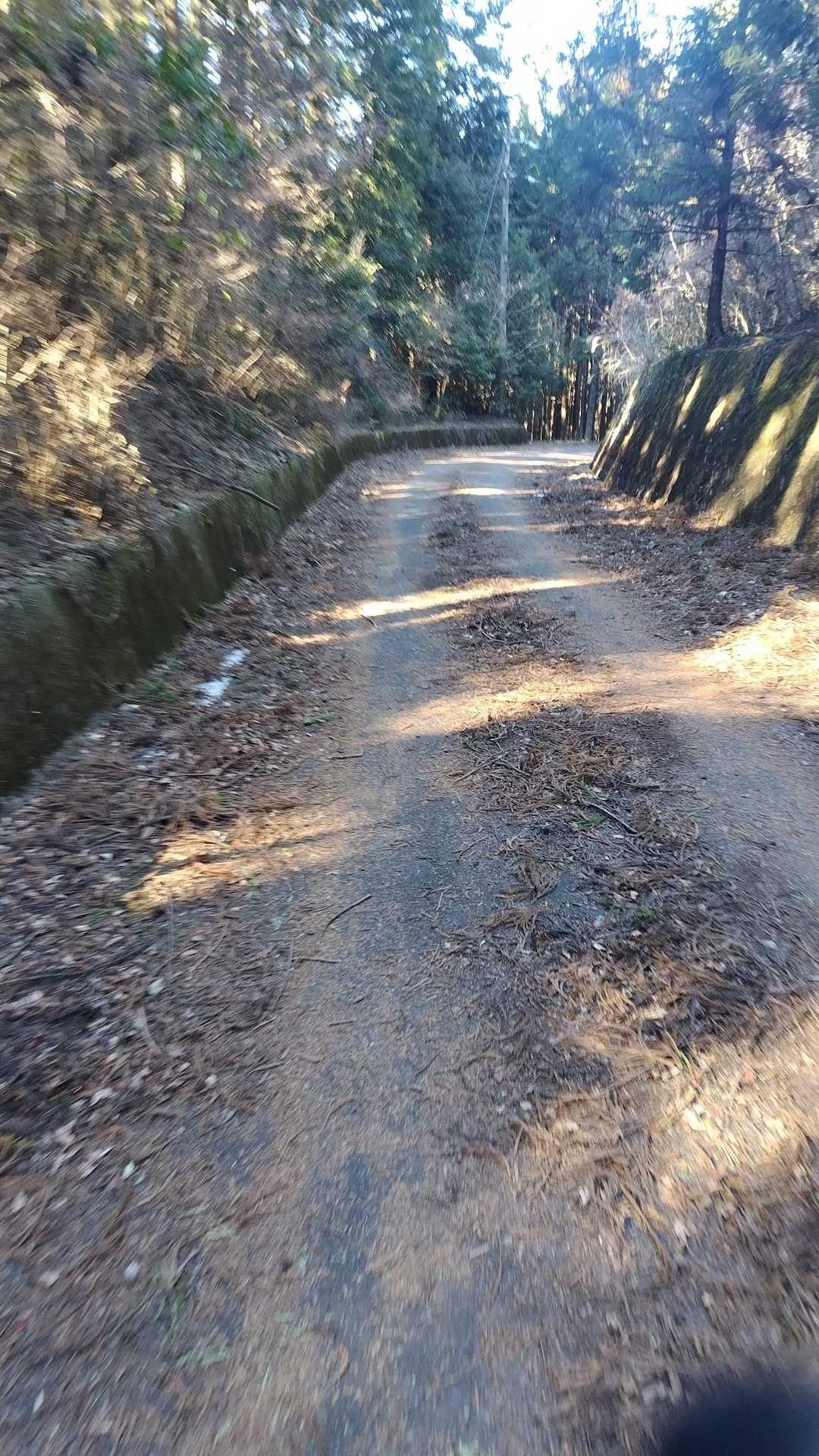 お疲れさまでした🙇