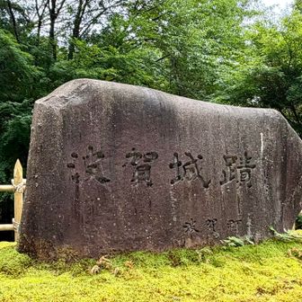 🚻ありました